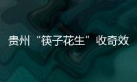 贵州“筷子花生”收奇效 曲波一脚踢飞了3000万？