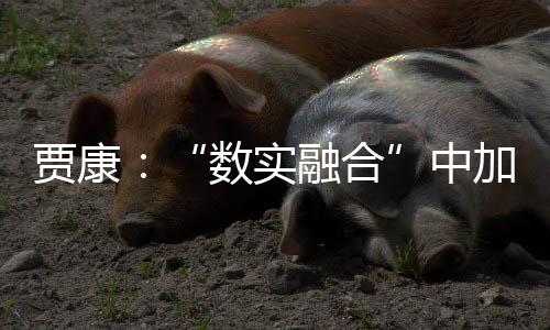 贾康即“工业革命”