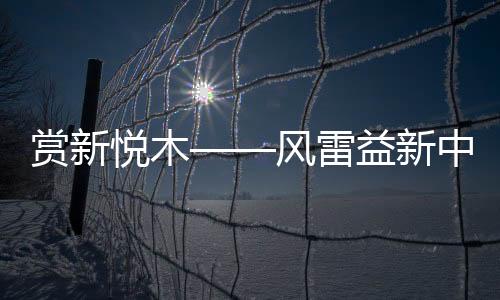 顺应互联网+的赏新时代
