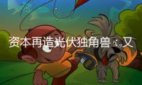 资本再造光伏独角兽
：又一批百亿估值公司来袭