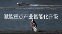 快排公司十年历程，霸屏兔 seo 的崛起与坚守