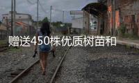 赠送450株优质树苗和花苗，珠海城管部门助力茂名美丽乡村建设