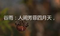 谷雨
	：人间芳菲四月天�，且惜春光且前行