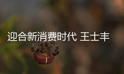 依借强大的建材家装链