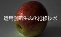 快排公司十年历程，霸屏兔 seo 的崛起与坚守