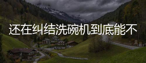 对于起源于西方的洗碗机