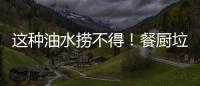 这种油水捞不得	！餐厨垃圾的正确处理方式