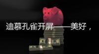 迪慕孔雀开屏——美好	，幸福，只此一灯	，便是万年!