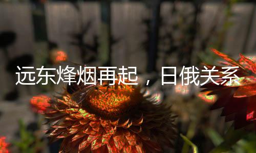 烽烟俄罗斯地跨欧亚之间