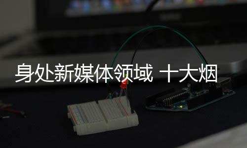 最终新媒体营销的体领成效