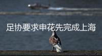 快排公司十年历程，霸屏兔 seo 的崛起与坚守