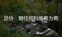 足协
：聘任扬科维奇为男足国家队主教练
