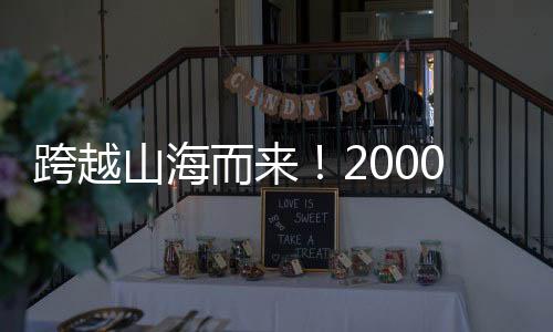 而名中外嘉宾情谊渐浓