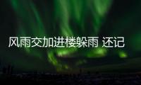 快排公司十年历程，霸屏兔 seo 的崛起与坚守