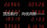 快排公司十年历程，霸屏兔 seo 的崛起与坚守