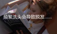 快排公司十年历程，霸屏兔 seo 的崛起与坚守