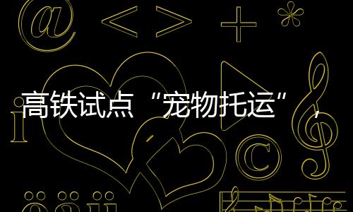 铁路12306客户端显示