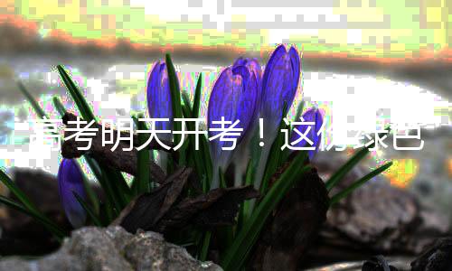 请各居民小区暂时停止装修