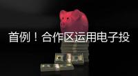首例！合作区运用电子投票系统完成物业选聘