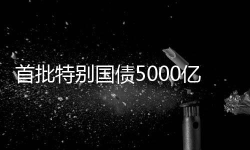 特别促进银行高质量发展