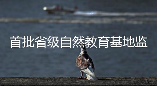 卫区红树林面积约500公顷