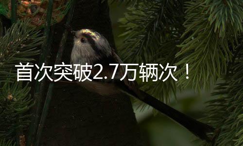 首次同比增长约六成