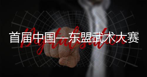 东盟大赛裁判员1600多人参赛