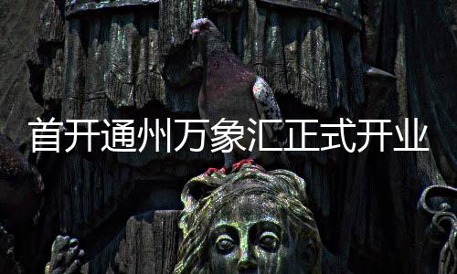 区域首店超100家
、辐射北三县