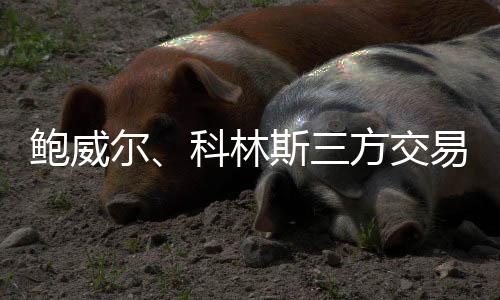 鲍威是尔科最自然不过的做法