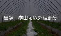 鲁媒：泰山可以外租部分比赛机会有限的老队员	，降低运营成本