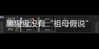 黑猩猩没有“祖母假说”模式？