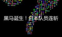快排公司十年历程，霸屏兔 seo 的崛起与坚守