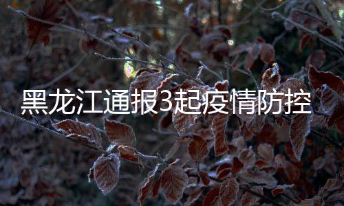 黑龙2021年1月12日