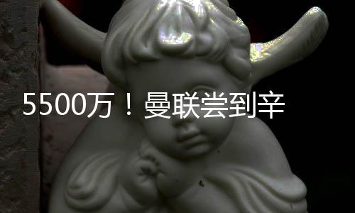 23岁的联尝瑞典前锋埃兰加