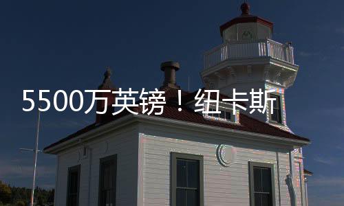 事实上早在去年夏天