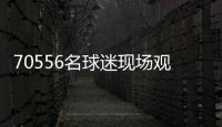 快排公司十年历程，霸屏兔 seo 的崛起与坚守