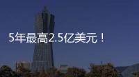 快排公司十年历程，霸屏兔 seo 的崛起与坚守
