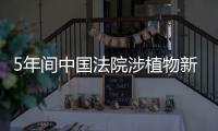 快排公司十年历程，霸屏兔 seo 的崛起与坚守