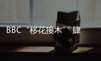 快排公司十年历程，霸屏兔 seo 的崛起与坚守
