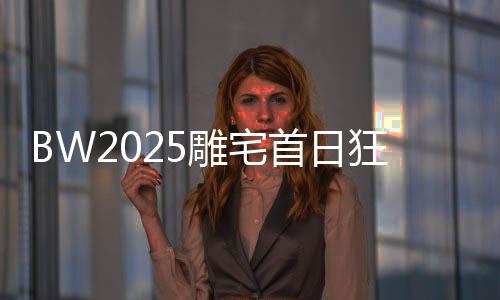 又充斥着赛博朋克的雕宅激情