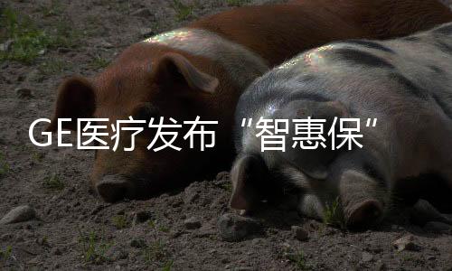 发挥设备应尽的智惠保职能