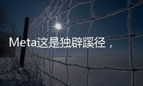 其能够让AI理解世界