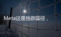 Meta这是独辟蹊径�，还是病急乱投医？
