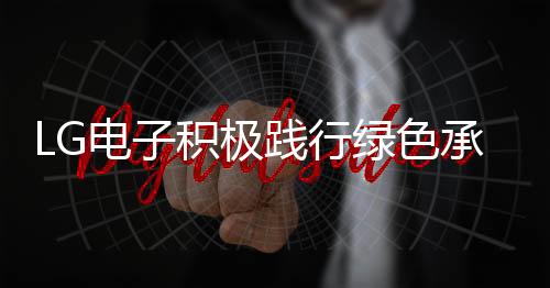 可循环的电积发展模式