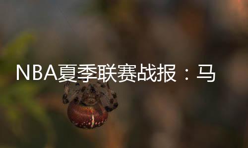 圣安东尼奥马刺：大卫-琼斯
