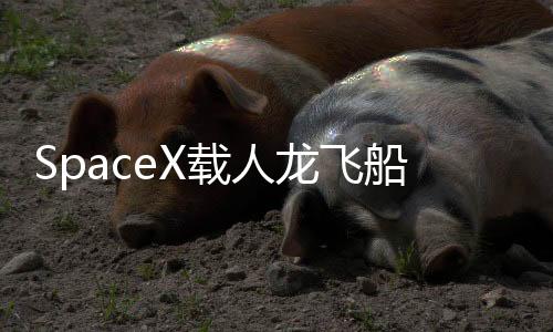 龙飞强化了伞冠结构