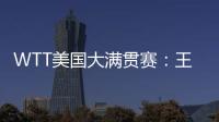 快排公司十年历程，霸屏兔 seo 的崛起与坚守