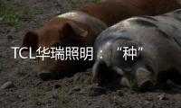 TCL华瑞照明：“种”一片翠绿	
，让生活和工作更添生机