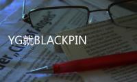 YG就BLACKPINK演唱会视野限制席争议道歉 ：“将采取后续措施”