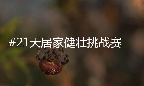 兔宝宝家居又推出超芯板